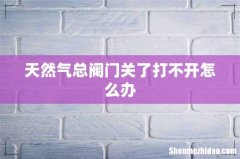 天然气总阀门关了打不开怎么办
