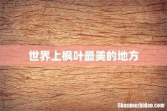 世界上枫叶最美的地方