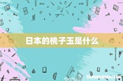 日本的桃子玉是什么