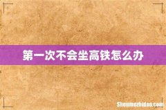 第一次不会坐高铁怎么办