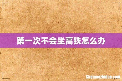 第一次不会坐高铁怎么办