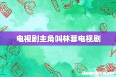 电视剧主角叫林蓉电视剧