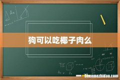 狗可以吃椰子肉么