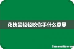 花枝鼠轻轻咬你手什么意思