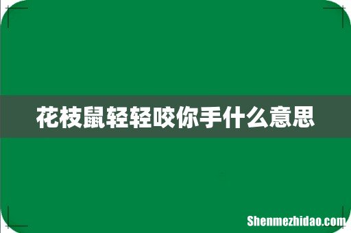花枝鼠轻轻咬你手什么意思
