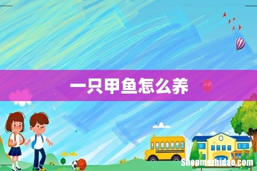 一只甲鱼怎么养