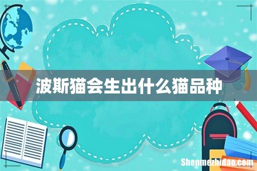 波斯猫会生出什么猫品种