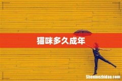 猫咪多久成年
