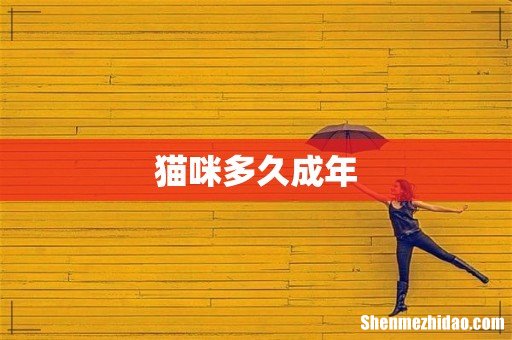 猫咪多久成年