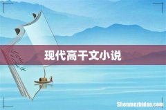 现代高干文小说