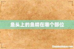 鱼头上的鱼精在哪个部位