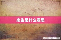 来生是什么意思