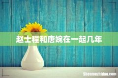 赵士程和唐婉在一起几年