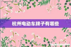 杭州电动车牌子有哪些