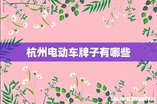杭州电动车牌子有哪些