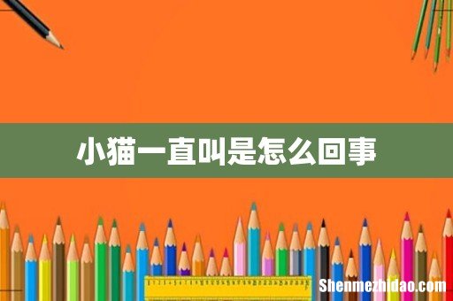 小猫一直叫是怎么回事