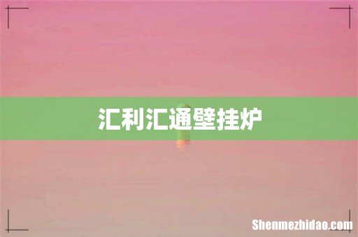 汇利汇通壁挂炉