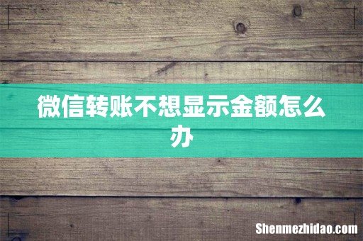 微信转账不想显示金额怎么办