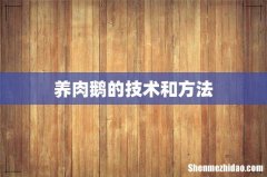 养肉鹅的技术和方法