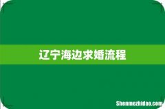 辽宁海边求婚流程