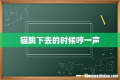 猫跳下去的时候哼一声