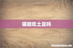 猫能吃土豆吗