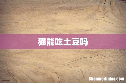 猫能吃土豆吗