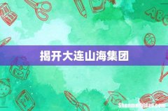 揭开大连山海集团