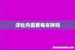 洋牡丹需要每年种吗