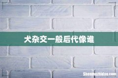 犬杂交一般后代像谁