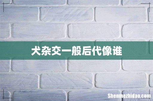 犬杂交一般后代像谁
