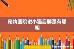 宠物医院说小猫后脖颈有聪明