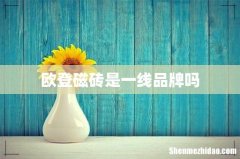 欧登磁砖是一线品牌吗
