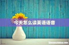 今天怎么读英语语音