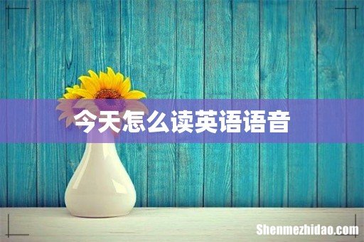 今天怎么读英语语音