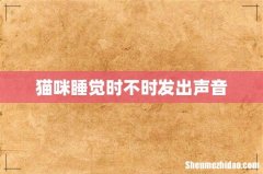 猫咪睡觉时不时发出声音