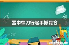 雪中悍刀行起手撼昆仑