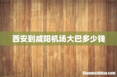 西安到咸阳机场大巴多少钱