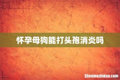 怀孕母狗能打头孢消炎吗