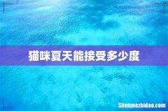 猫咪夏天能接受多少度