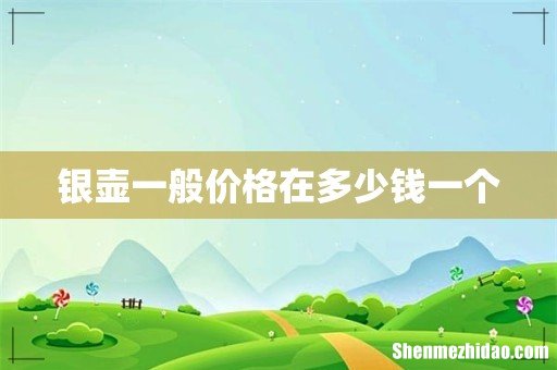 银壶一般价格在多少钱一个