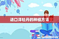 进口洋牡丹的种植方法