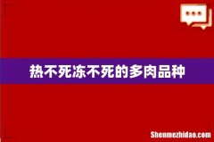 热不死冻不死的多肉品种