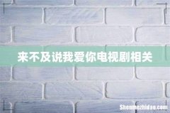 来不及说我爱你电视剧相关