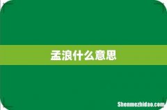 孟浪什么意思