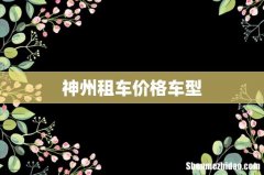 神州租车价格车型