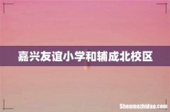 嘉兴友谊小学和辅成北校区