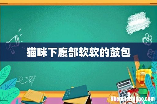 猫咪下腹部软软的鼓包