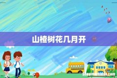 山楂树花几月开