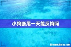 小狗断尾一天能反悔吗